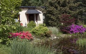 Ferienwohnung Am Waldsaum