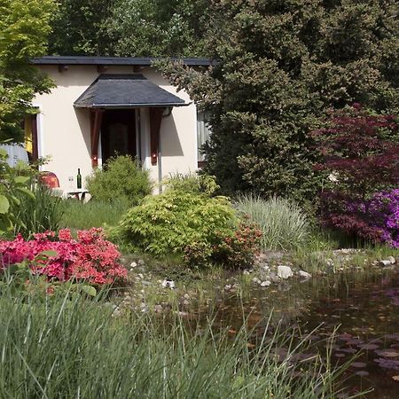 Ferienwohnung Am Waldsaum Kurort Gohrisch Exterior foto