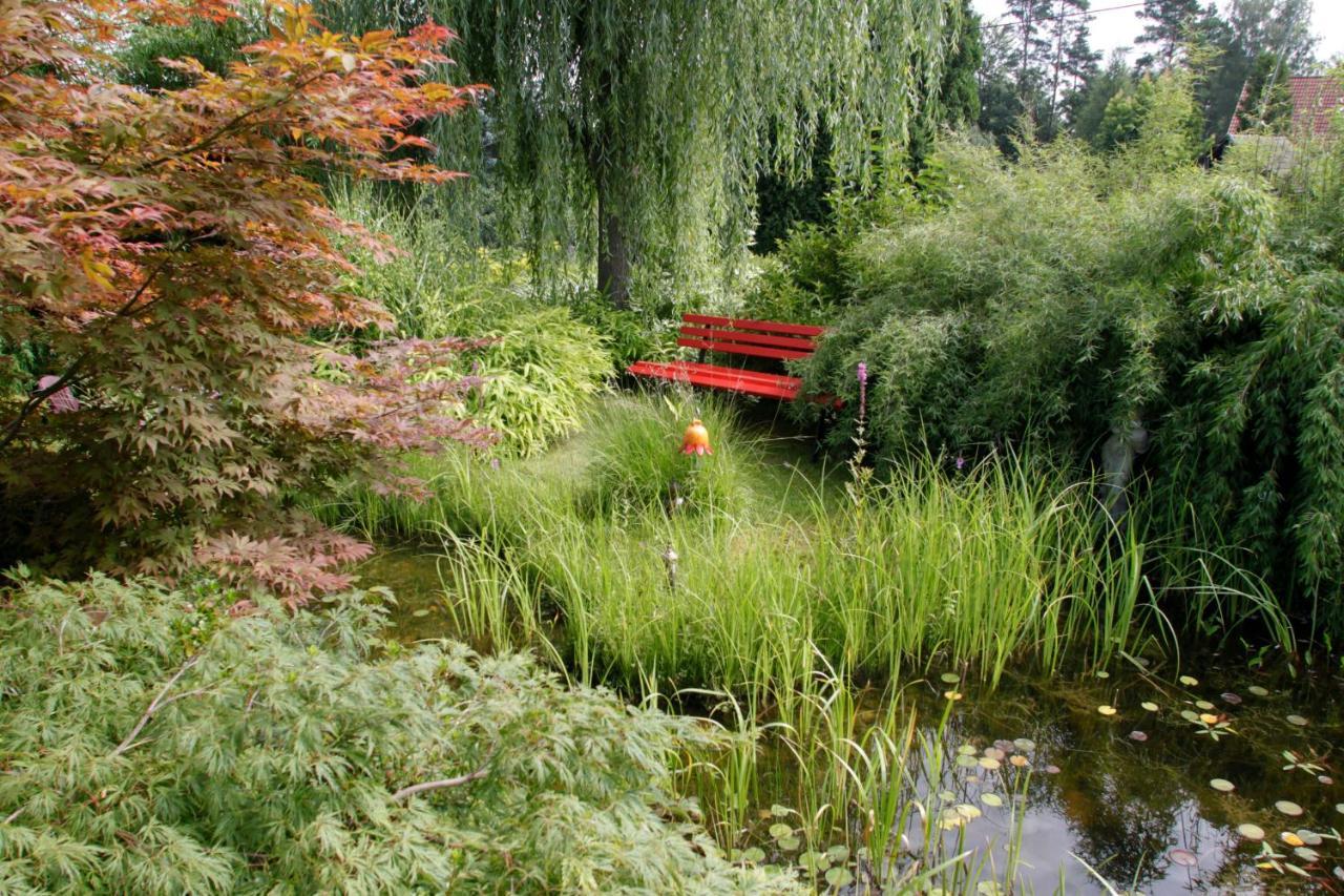 Ferienwohnung Am Waldsaum Kurort Gohrisch Exterior foto