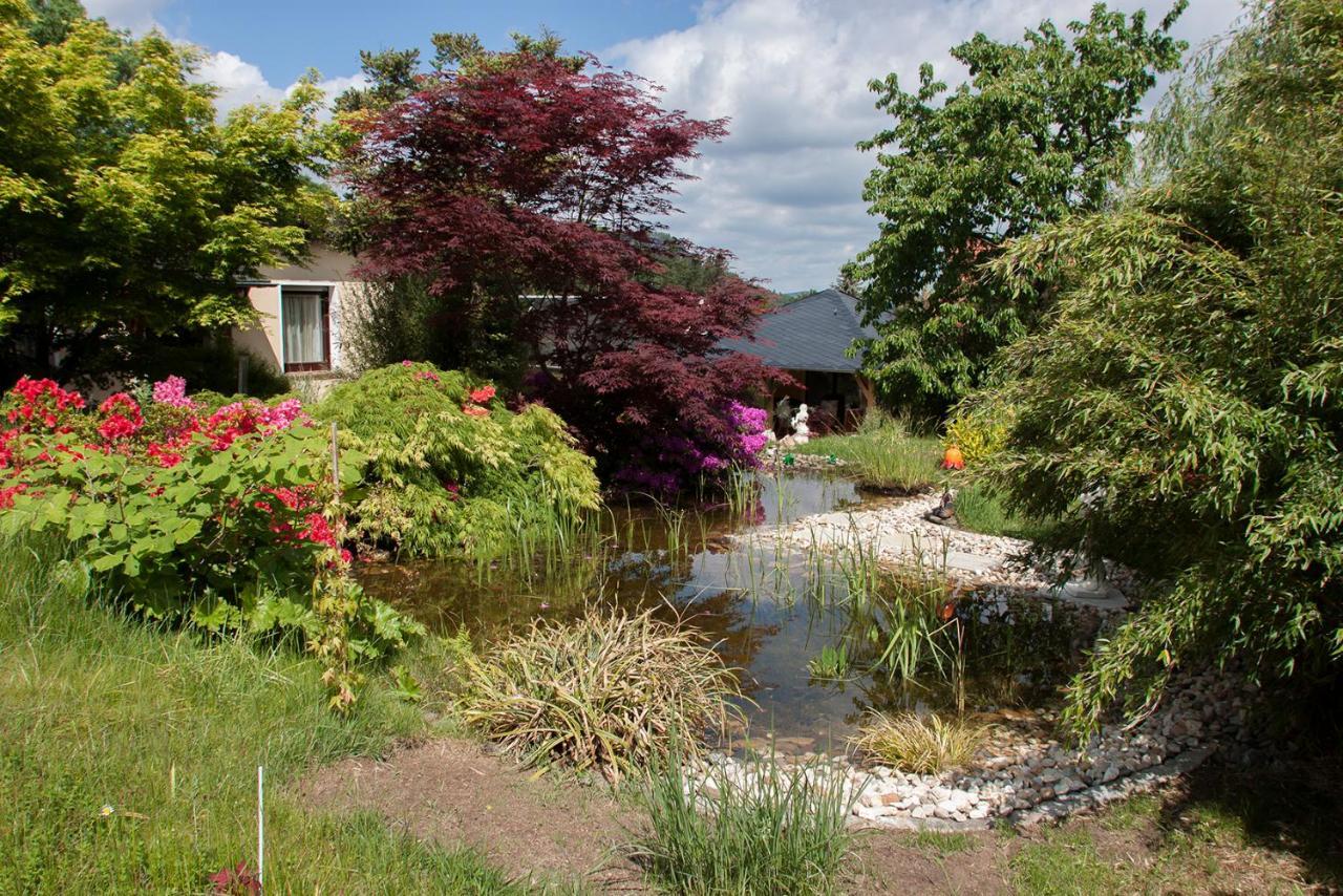 Ferienwohnung Am Waldsaum Kurort Gohrisch Exterior foto