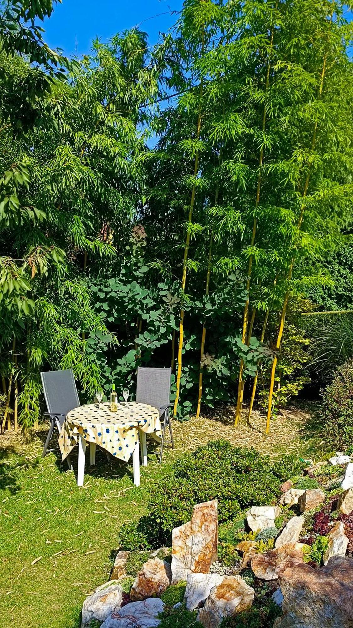 Ferienwohnung Am Waldsaum Kurort Gohrisch Exterior foto